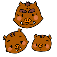 Wild boar family