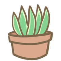 Succulent plant (2)