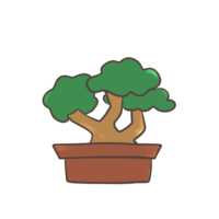 Bonsai