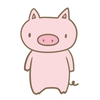 Standing pig