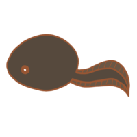 Tadpole