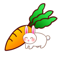 Carrot and rabbit