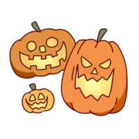 Pumpkins of various shapes