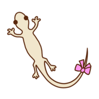 Gecko with ribbon