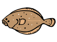 Flounder