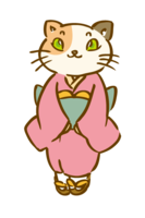Calico cat in kimono