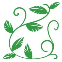 Leaf and vine