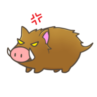 Angry boar