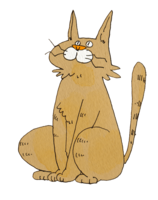 Cat interested in above