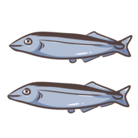Pacific saury