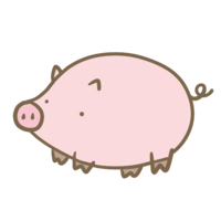 Pink pig
