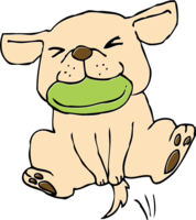 Dog doing Frisbee catch