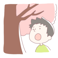 Boy looking up at the cherry blossoms