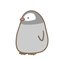 Baby emperor penguin