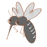 Flying mosquito