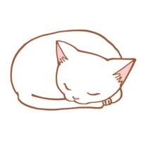 Cat bowing