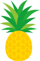 Pineapple material