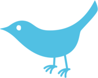Twitter bird's icon