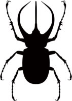 世界のカブトムシ