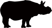 Animal silhouette material-Rhino