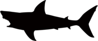 Shark silhouette material