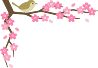 鶯(ウグイス)と桜の花のコーナーフレーム飾り枠