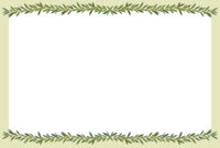 橄榄(叶实)信息框装饰框