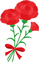 (Mother's Day) Cute carnation (red-pink)
