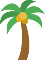 椰子の木(ヤシの木)