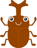 Cute beetle