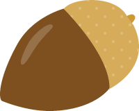Acorn (nut)