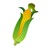 收获的玉米