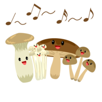 Chorus of popular mushrooms