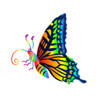 Rainbow swallowtail butterfly (horizontal)