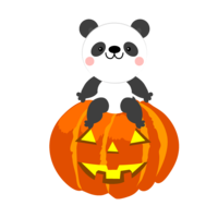 Panda and Halloween pumpkin