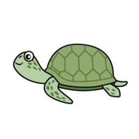 绿色海龟
