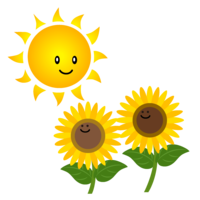 Cute sun and sunflower