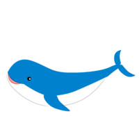 Cute whale