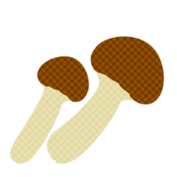 Matsutake mushroom (check pattern)
