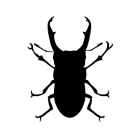 Dorcus rectus silhouette