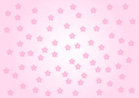 wallpaper with cherry blossom petals