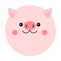 Round pig face