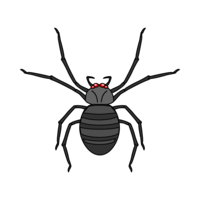 Poison spider