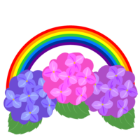 Rainbow and hydrangea