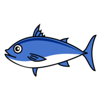 金枪鱼鲣鱼