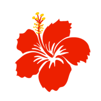 Silhouette hibiscus
