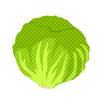 Lettuce (check pattern)