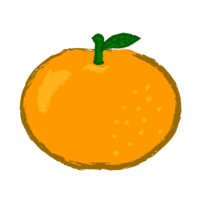粗触摸橘子