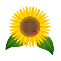 Sunflower and ladybug