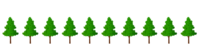 Fir tree forest line
